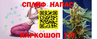 гидра Тара