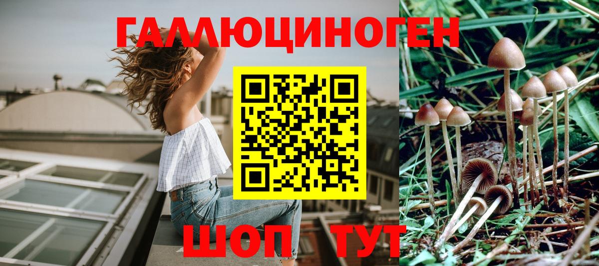 Галлюциногенные грибы GOLDEN TEACHER  Псилоцибиновые грибы GOLDEN TEACHER  Белогорск  Вход с VPN 