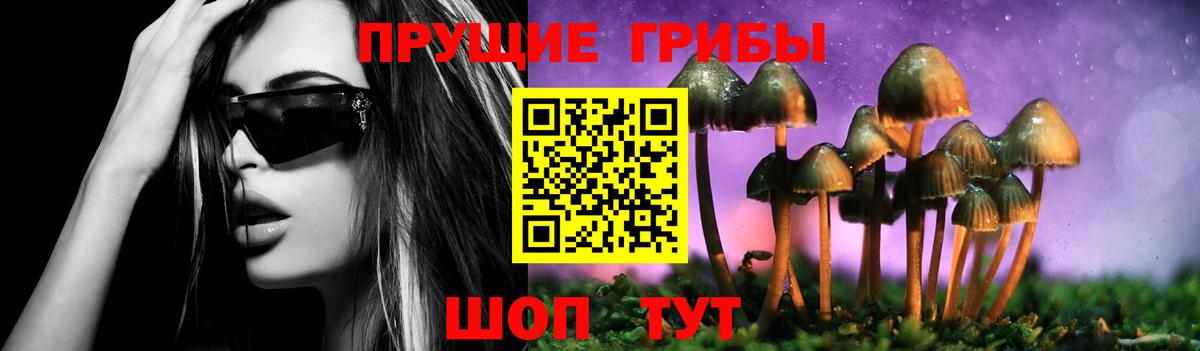 Галлюциногенные грибы мицелий Белогорск